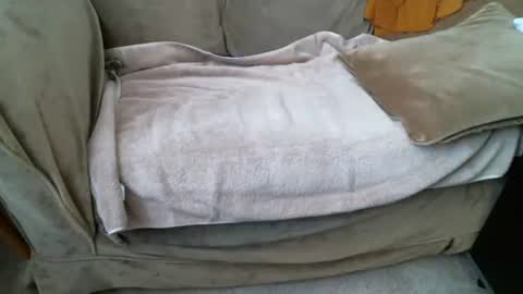 funlovinchub online show from February 2026 06:33:02 PM