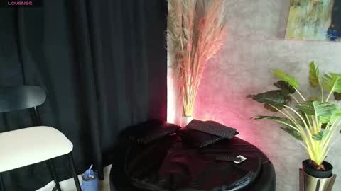          online show from November 2025 01:33:02 AM