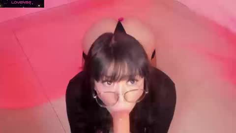 PROXIMO SHOW NOVIEMBRE 16   NEXT SHOW NOVEMBER  16    online show from September 2025 09:59:02 PM