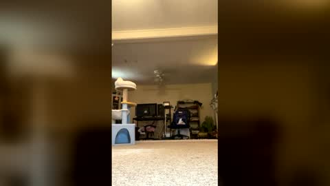 Snapshot of galaxxyrose chatting on June 2026 09:07:02 PM GalaxxyRose online show from June 2026 09:07:02 PM