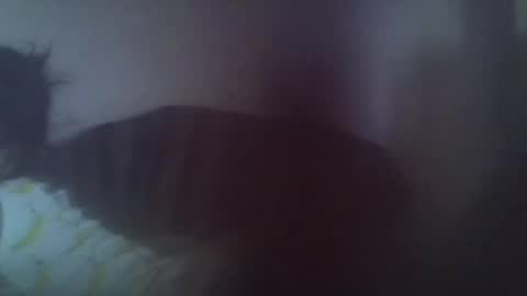 Snapshot of gasielah chatting on January 2025 01:19:02 PM gasielah online show from January 2025 01:19:02 PM