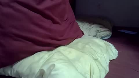 gasielah online show from February 2026 07:45:01 PM