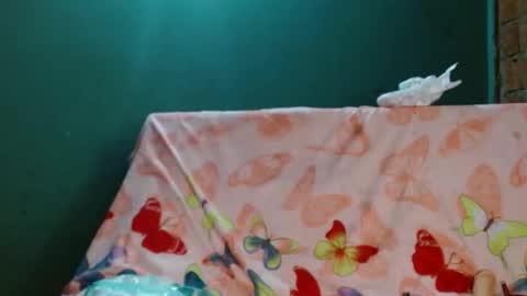 estrella online show from November 2025 09:52:01 AM