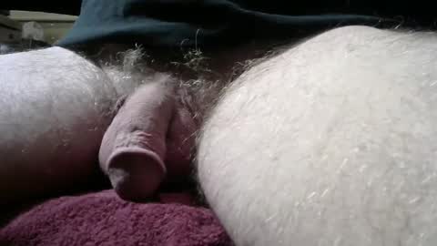 Snapshot of gemini_2 chatting on March 2025 02:23:02 PM gemini_2 online show from March 2025 02:23:02 PM