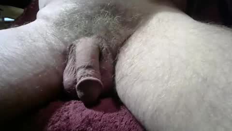 Snapshot of gemini_2 chatting on March 2026 09:31:02 PM gemini_2 online show from March 2026 09:31:02 PM