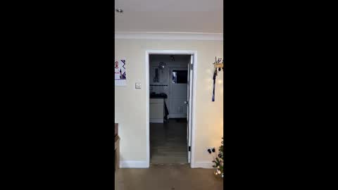 gemmaquinzel online show from December 2025 04:14:02 PM