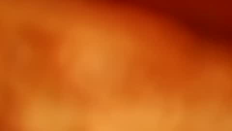 germanandy71 online show from November 2025 01:22:01 PM