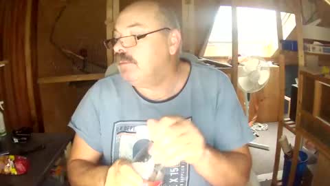 germany_50 online show from December 2024 07:32:01 AM