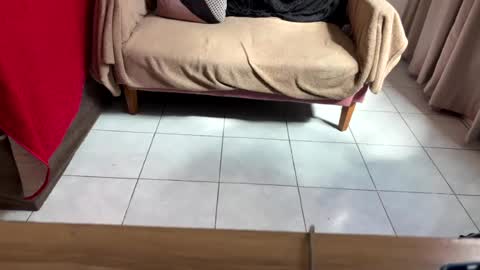 gerson229 online show from July 2026 03:59:02 PM