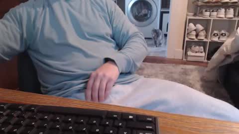 gethoggy online show from January 2026 04:34:01 PM