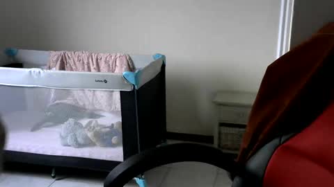 Snapshot of gh1952ma chatting on February 2025 07:55:02 AM Gisse online show from February 2025 07:55:02 AM