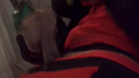 Snapshot of ghallofino26 chatting on February 2026 02:49:01 AM ghallofino26 online show from February 2026 02:49:01 AM