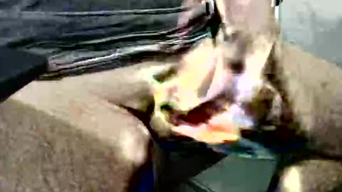 ghost1805 online show from October 2025 03:51:02 AM