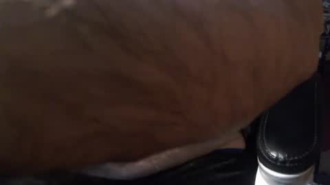 Snapshot of gianni9000000 chatting on February 2026 02:43:02 PM Gianni9000000 online show from February 2026 02:43:02 PM