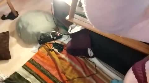 Tumnusus online show from February 2025 07:55:01 AM