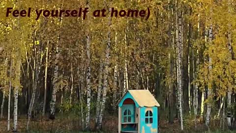 Kristin  online show from February 2026 05:33:01 PM