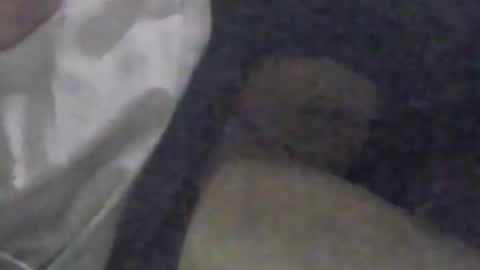 lovegirlscallme online show from September 2025 03:33:01 PM