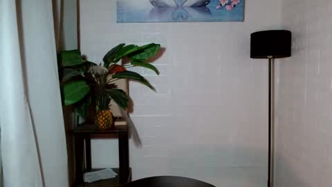 Snapshot of girlwhobelieveinmagic chatting on January 2025 04:18:02 AM Callmenor online show from January 2025 04:18:02 AM