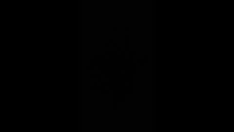 gjpj1 online show from February 2026 12:59:02 PM