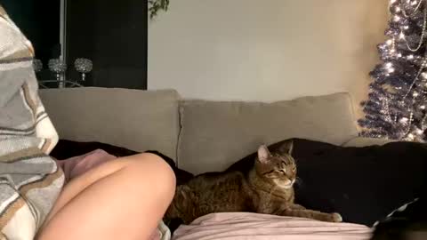 GoddessMayvn online show from December 2024 12:55:02 PM