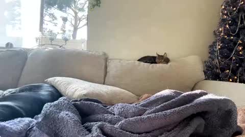 GoddessMayvn online show from January 2025 11:03:02 PM