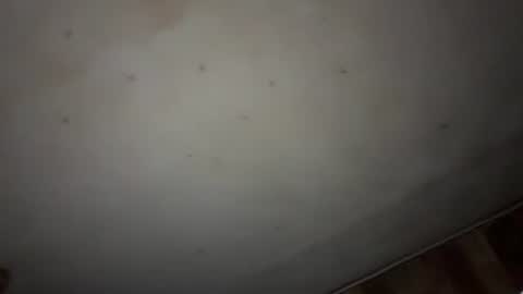 Snapshot of godseekingatheist chatting on November 2025 01:59:02 AM godseekingatheist online show from November 2025 01:59:02 AM