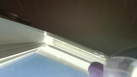 goosetrucker982440 online show from September 2025 02:00:02 PM