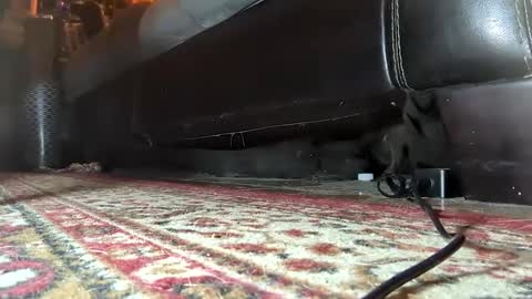 Mistress  Mommy  Godess online show from January 2025 07:17:01 AM