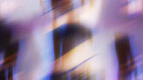        online show from November 2025 08:06:01 AM