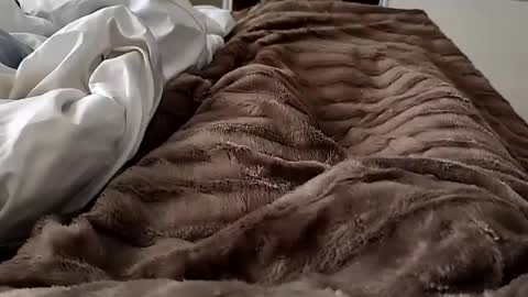 Hazme gozar online show from February 2025 08:42:01 AM