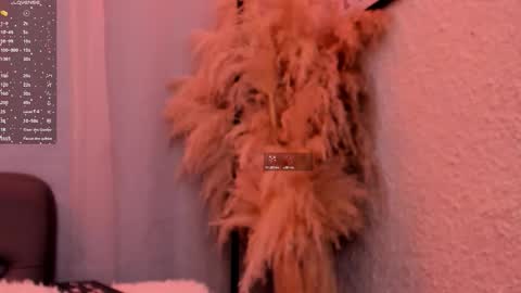 Grace online show from November 2025 12:04:02 PM