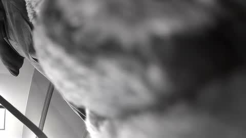 Get US to 1000 you wont be disapointed online show from December 2024 06:22:02 AM