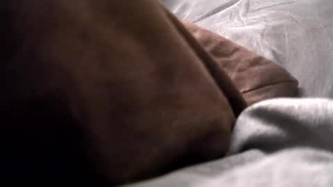 Get US to 1000 you wont be disapointed online show from December 2024 04:13:01 AM