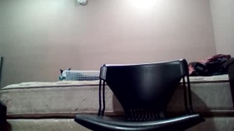 Jack online show from February 2026 12:56:02 PM