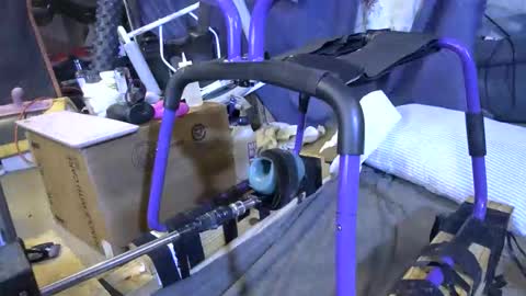 electrogee1 online show from November 2025 03:06:01 AM