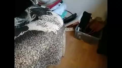 Snapshot of gregorius_1 chatting on January 2025 09:46:01 AM Greg online show from January 2025 09:46:01 AM