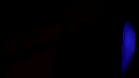 Snapshot of grisa01 chatting on March 2025 12:48:01 AM grisa01 online show from March 2025 12:48:01 AM