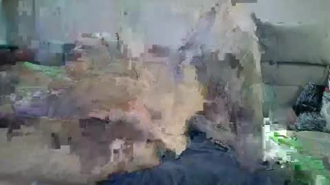 grossmanmeir online show from October 2025 07:01:02 PM