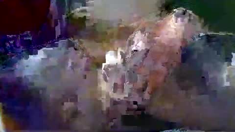 Gary online show from January 2026 01:42:02 AM