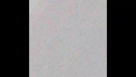 gusanito_7 online show from November 2025 02:43:02 PM