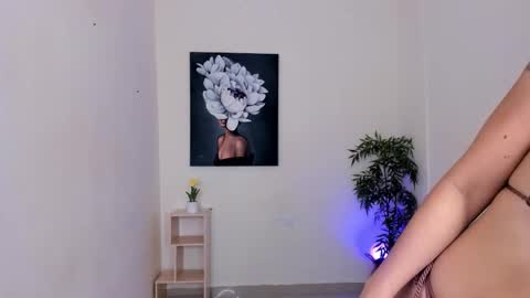 Gysel  online show from November 2025 12:05:02 PM