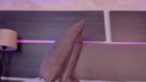 Habiy  online show from January 2025 11:10:01 AM