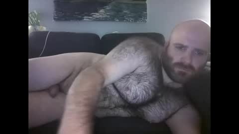 Snapshot of hairiestbear chatting on May 2026 09:47:01 AM Hairiest Bear online show from May 2026 09:47:01 AM