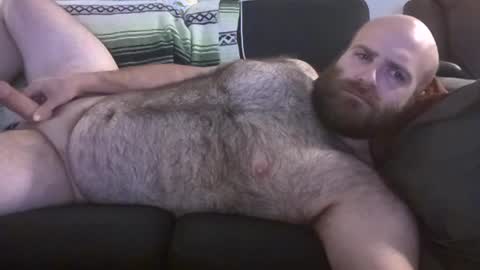 Snapshot of hairiestbear chatting on June 2026 08:30:01 AM Hairiest Bear online show from June 2026 08:30:01 AM