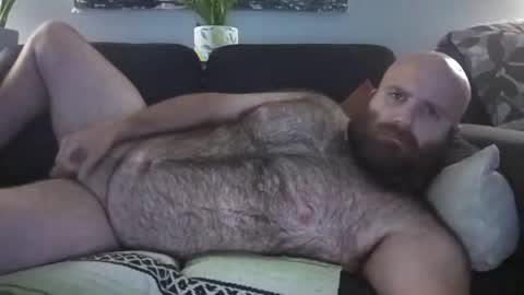 Snapshot of hairiestbear chatting on August 2026 09:08:02 AM Hairiest Bear online show from August 2026 09:08:02 AM