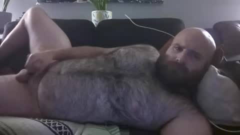 Snapshot of hairiestbear chatting on August 2026 02:43:01 AM Hairiest Bear online show from August 2026 02:43:01 AM