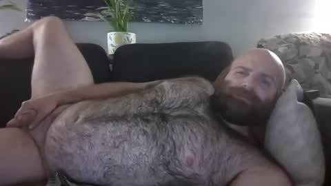 Snapshot of hairiestbear chatting on August 2026 05:23:02 AM Hairiest Bear online show from August 2026 05:23:02 AM