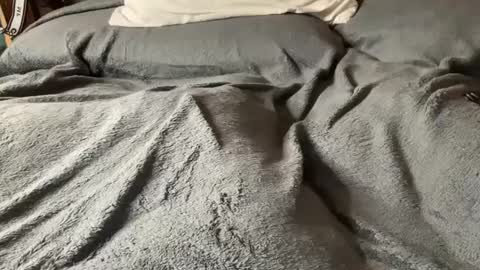 Snapshot of hairy_mexi chatting on March 2025 06:01:01 AM J M online show from March 2025 06:01:01 AM