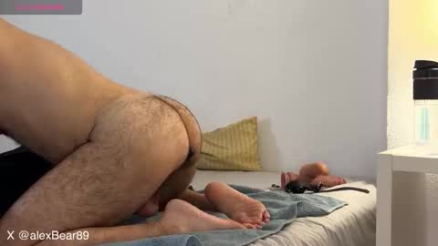 Snapshot of hairyarabbear chatting on December 2025 11:34:02 PM hairyarabbear online show from December 2025 11:34:02 PM