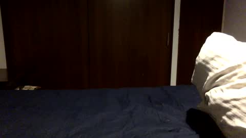 NN420 online show from October 2025 02:09:02 AM